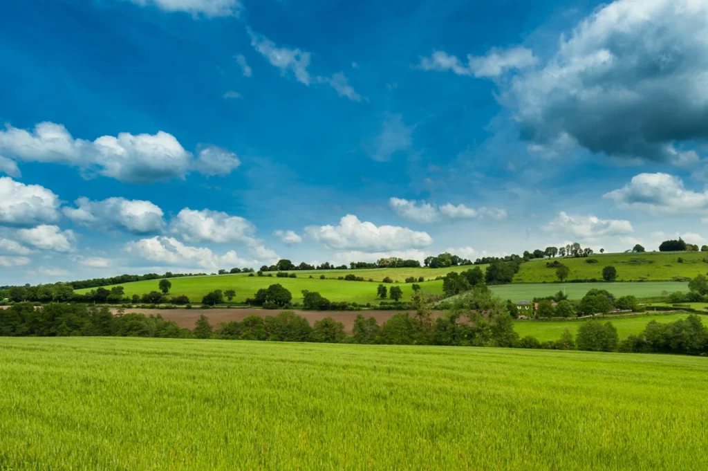 fond d'écran windows xp facon normand